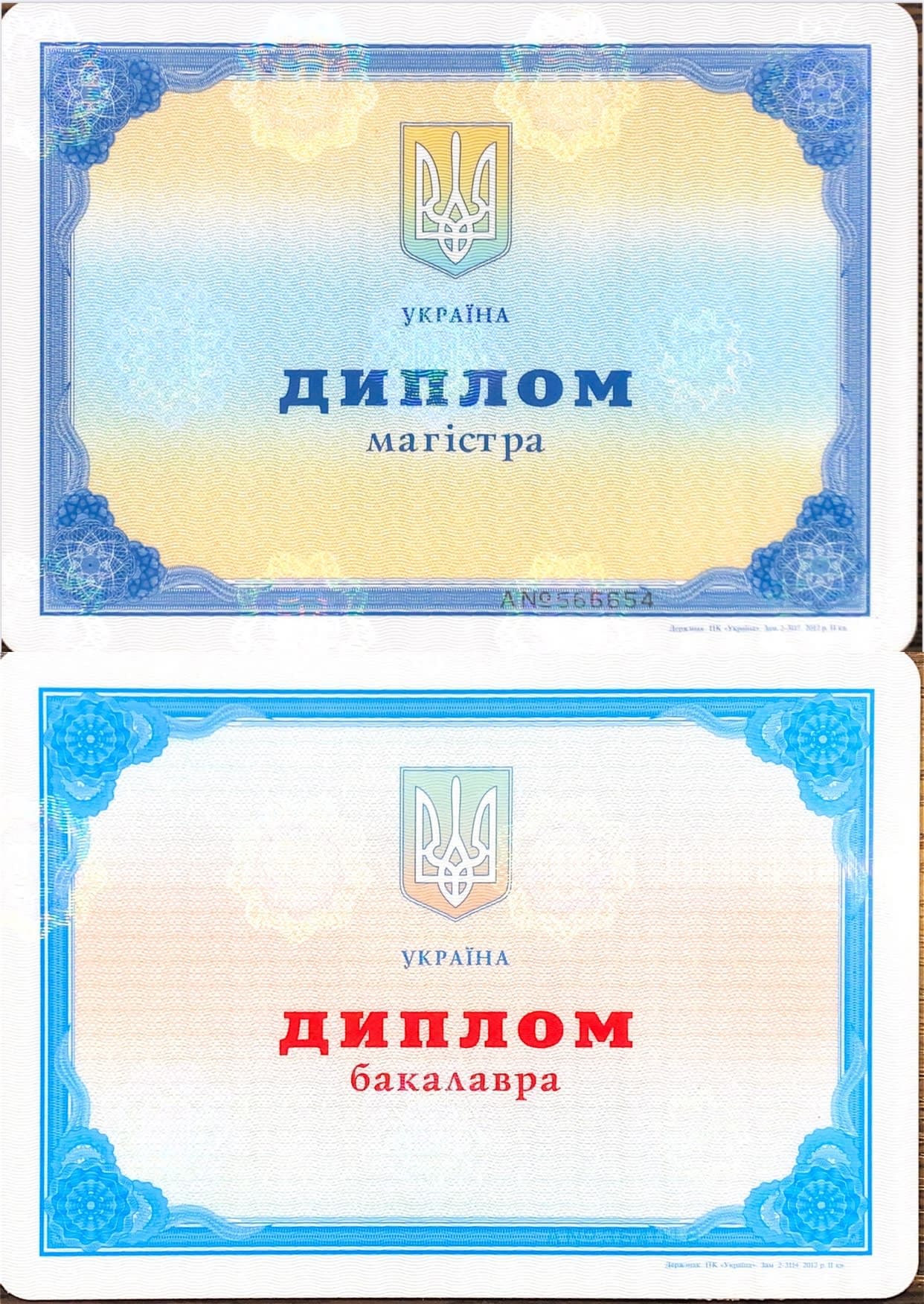 Диплом 1